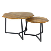 Lastra black metal & reclaimed wood side table set